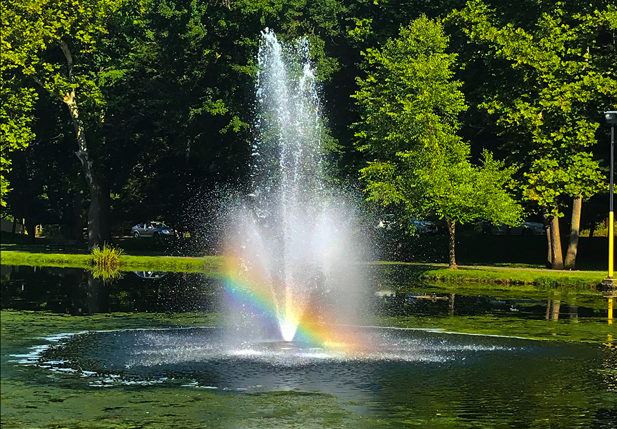 robert-thiemann--s4NFvpnU5k-unsplash
